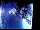 [TodoMarino.com] Nuevo en marino Acuario Red sea C-250
