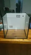 [TodoMarino.com] Mi Micro Zoanthus