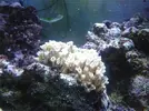 [TodoMarino.com] Mi pequeño mundo marino!