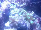 [TodoMarino.com] Mi pequeño mundo marino!