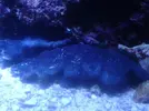 [TodoMarino.com] Mi pequeño mundo marino!