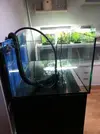 [TodoMarino.com] Mi Reef con pies de plomo