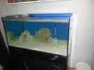 [TodoMarino.com] Mi Reef con pies de plomo