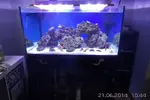 [TodoMarino.com] Mi Reef con pies de plomo