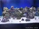 [TodoMarino.com] Mi Reef con pies de plomo