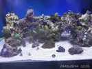 [TodoMarino.com] Mi Reef con pies de plomo