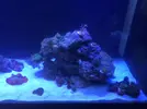 [TodoMarino.com] Proyecto 720L