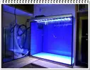 [TodoMarino.com] ORGULLO REEF, como montar un acuario y no morir en el intento.