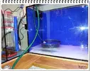 [TodoMarino.com] ORGULLO REEF, como montar un acuario y no morir en el intento.