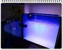 [TodoMarino.com] ORGULLO REEF, como montar un acuario y no morir en el intento.