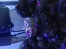 [TodoMarino.com] Que es esto q ha crecido en mi acuario? Expediente x
