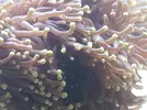 [TodoMarino.com] Nueva llegada de animales