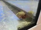 [TodoMarino.com] Nueva llegada de animales
