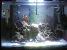 [TodoMarino.com] Mi pequeño mundo marino!