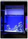 [TodoMarino.com] ORGULLO REEF, como montar un acuario y no morir en el intento.