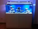 [TodoMarino.com] Joshua Reef