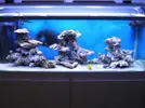 [TodoMarino.com] Joshua Reef