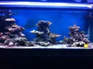 [TodoMarino.com] Joshua Reef