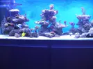 [TodoMarino.com] Joshua Reef
