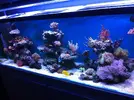 [TodoMarino.com] Joshua Reef