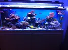 [TodoMarino.com] Joshua Reef