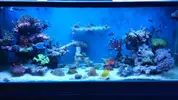 [TodoMarino.com] Joshua Reef