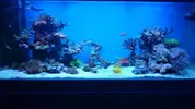 [TodoMarino.com] Joshua Reef