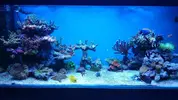 [TodoMarino.com] Joshua Reef