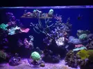 [TodoMarino.com] Joshua Reef