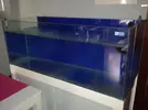 [TodoMarino.com] Mi nuevo acuario 325l.