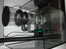 [TodoMarino.com] Mi nuevo acuario 325l.