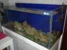 [TodoMarino.com] Mi nuevo acuario 325l.