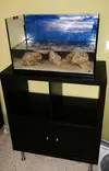 [TodoMarino.com] Mi Proyecto Nano Reef