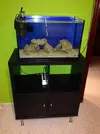 [TodoMarino.com] Mi Proyecto Nano Reef