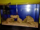 [TodoMarino.com] Mi Proyecto Nano Reef