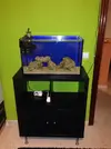 [TodoMarino.com] Mi Proyecto Nano Reef