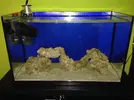 [TodoMarino.com] Mi Proyecto Nano Reef