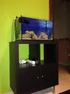 [TodoMarino.com] Mi Proyecto Nano Reef
