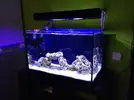 [TodoMarino.com] Mi Proyecto Nano Reef