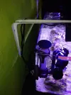 [TodoMarino.com] Mi Proyecto Nano Reef