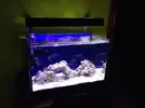 [TodoMarino.com] Mi Proyecto Nano Reef