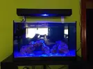 [TodoMarino.com] Mi Proyecto Nano Reef