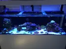 [TodoMarino.com] Proyecto 720L