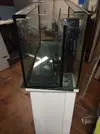 [TodoMarino.com] Presentación Oficial del "Biznaga" Reef 200 Litros
