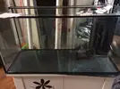 [TodoMarino.com] Presentación Oficial del "Biznaga" Reef 200 Litros
