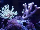 [TodoMarino.com] Evolución en 8 meses.