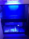 [TodoMarino.com] Toca ampliar 360 de urna principal y 160 de sump