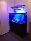 [TodoMarino.com] Toca ampliar 360 de urna principal y 160 de sump