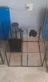 [TodoMarino.com] Nano Reef 50x50x50, paso a paso
