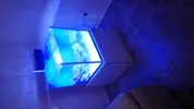 [TodoMarino.com] Nano Reef 50x50x50, paso a paso